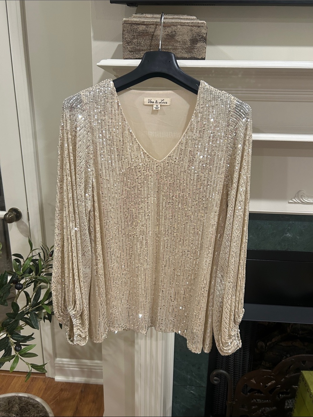 Vine & Love Women's Champagne Sequin V-Neck Long Sleeve Top